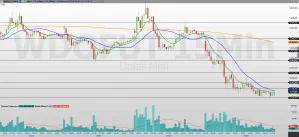 6971e979d2304 WDOG26 15 MINUTOS 22.01.2026