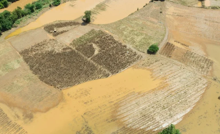 Alerta Climático: Super El Niño se aproxima e promete impacto “Super” no Brasil, saiba os riscos e benefícios