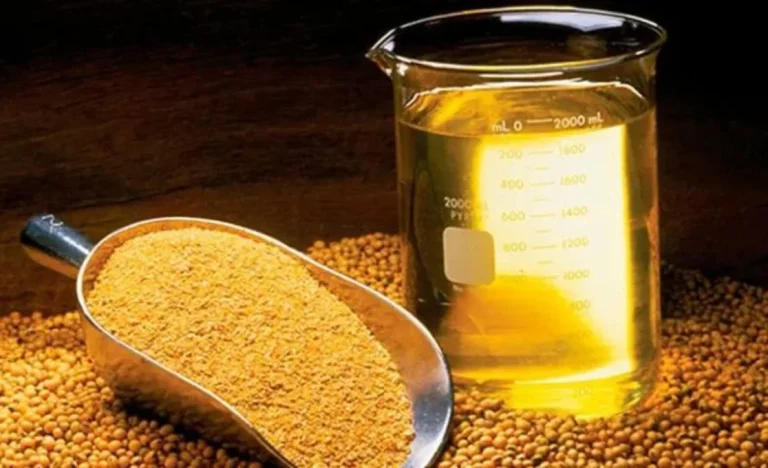 Aprovio Confia em B16 de Biodiesel para Diesel em 2026, Mesmo com Desafios Técnicos e Políticos no Horizonte