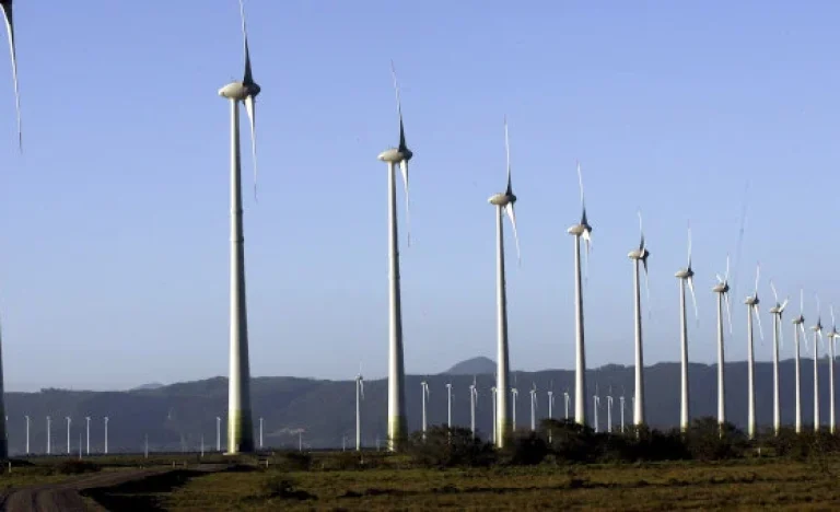 Governo Trump Freia Projetos de Energia Eólica nos EUA por “Segurança Nacional”, Diz Relatório do Financial Times