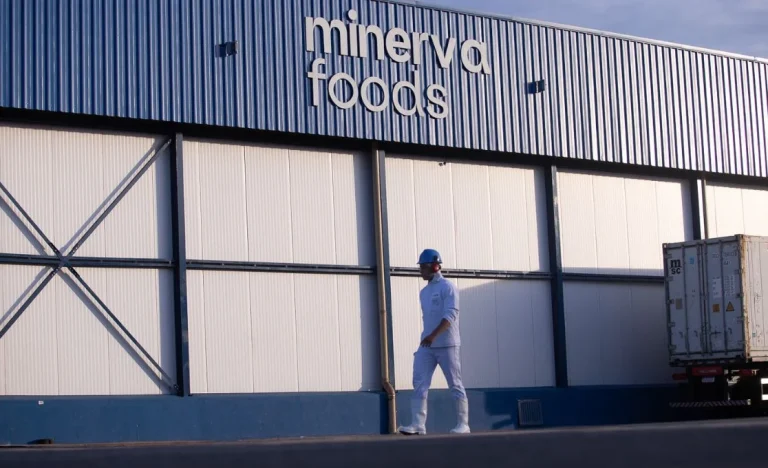 Minerva (BEEF3): Lucro da gigante da carne despenca 52,8% no 1T26, mas receita e vendas disparam impulsionadas pelo mercado externo