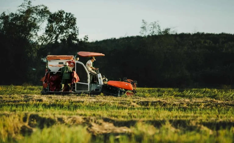 Agro ‘Salva’ o PIB Brasileiro em 2025: Consumo Perde Força e Regiões Divergem, Aponta Banco Central