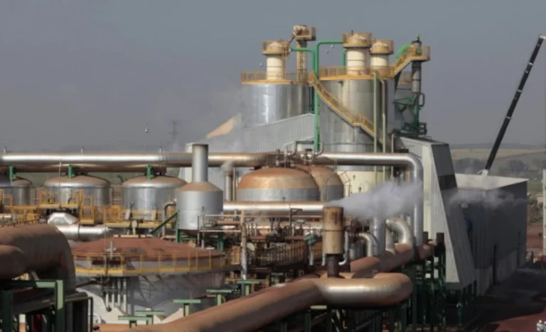 São Martinho (SMTO3): Etanol Salva Resultados do 4T26, Projeção do Itaú BBA Aponta Alta no EBITDA