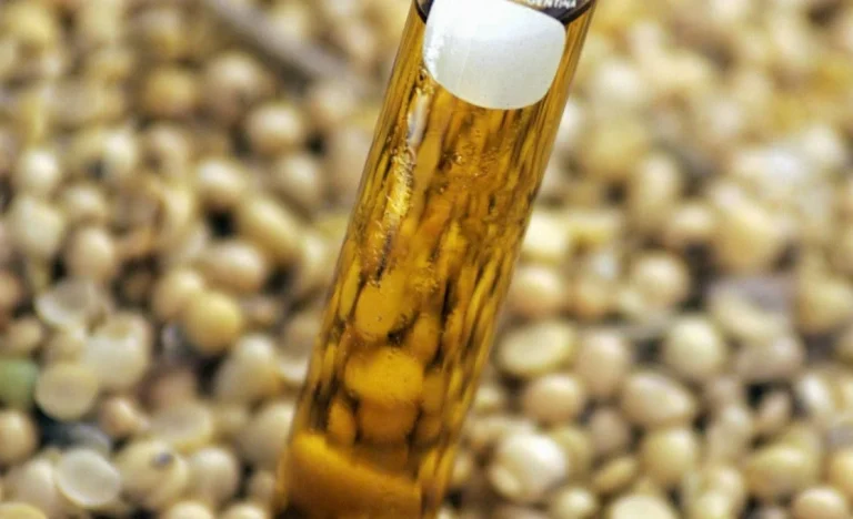 Be8 Acelera Expansão Global: Produtora Brasileira de Biocombustíveis Anuncia Filial Estratégica na Itália para Dominar o Mercado Europeu