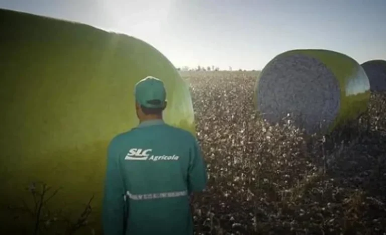 SLC Agrícola (SLCE3): Acordo com Radar alivia pressão, mas JP Morgan e Bradesco BBI pedem cautela em meio a valuation de terras