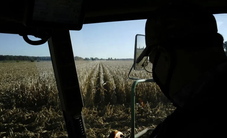 Soja Dispara em Chicago com Clima Ameaçador nos EUA e Alta do Petróleo: Preços Batem Recorde e Impactam Mercado Global