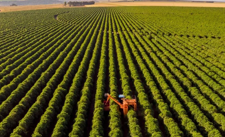 Governo libera R$ 13 Bilhões em Crédito Extraordinário para Agricultura, Fazenda e AGU: Veja os Detalhes e o Impacto!