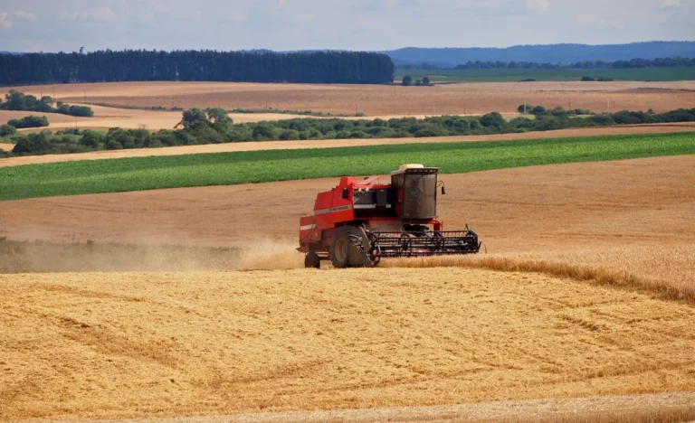 Fiagros em Alta: Entenda o Investimento Que Disparou Mais de 226% em Captação e Como Diversificar Sua Carteira no Agronegócio