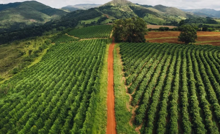 Agrolend Revela: O ERRO Crucial no Risco Rural que Bancos Ignoram e Como Produtores Podem Se Proteger
