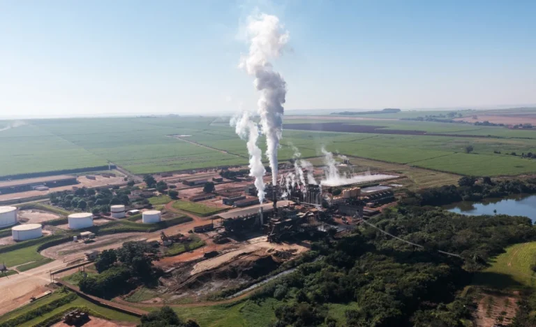 São Martinho (SMTO3): Citi prevê 1T27 fraco e alavancagem alta, mas mantém recomendação neutra para ações