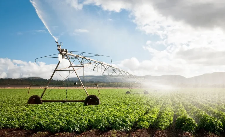 Fiagros: Entenda como investir no agronegócio sem depender da soja, milho ou boi gordo, segundo a Empiricus