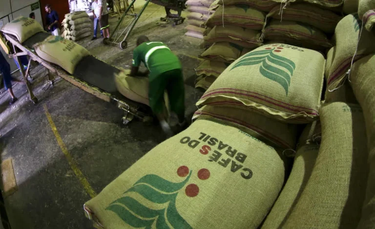 Exportação de Café Verde do Brasil Despenca 27% em Fevereiro: Entenda os Motivos e o Futuro do Mercado