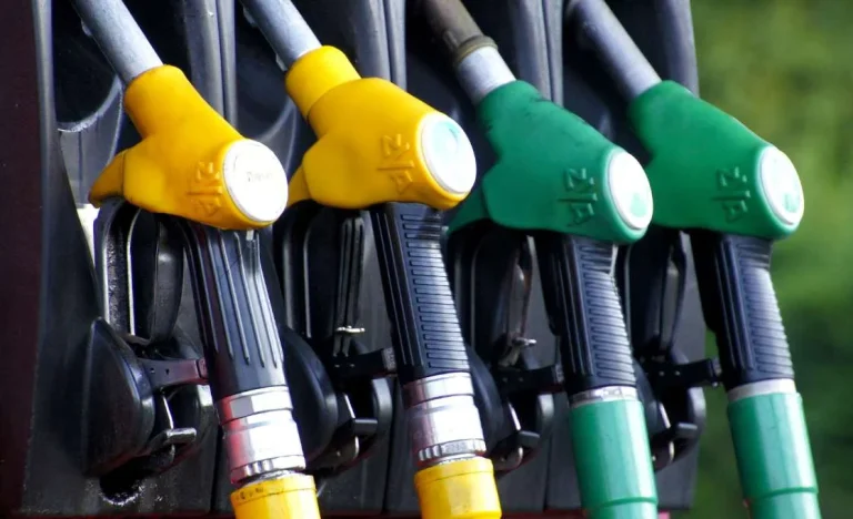 Petrobras (PETR4) Cancela Leilões de Diesel e Gasolina em Meio a Alta de Preços e Protestos de Caminhoneiros