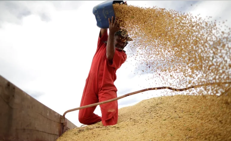 Guerra no Irã Dispara Preços de Grãos Como Soja e Milho, Mas Ameaça Lucros de Frigoríficos; Minerva Foods Pode Subir 82,2%