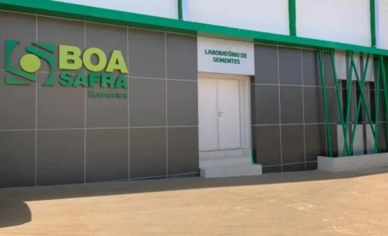 Boa Safra (SOJA3): Bradesco BBI rebaixa ação para neutro e corta preço-alvo em 35%; entenda os motivos